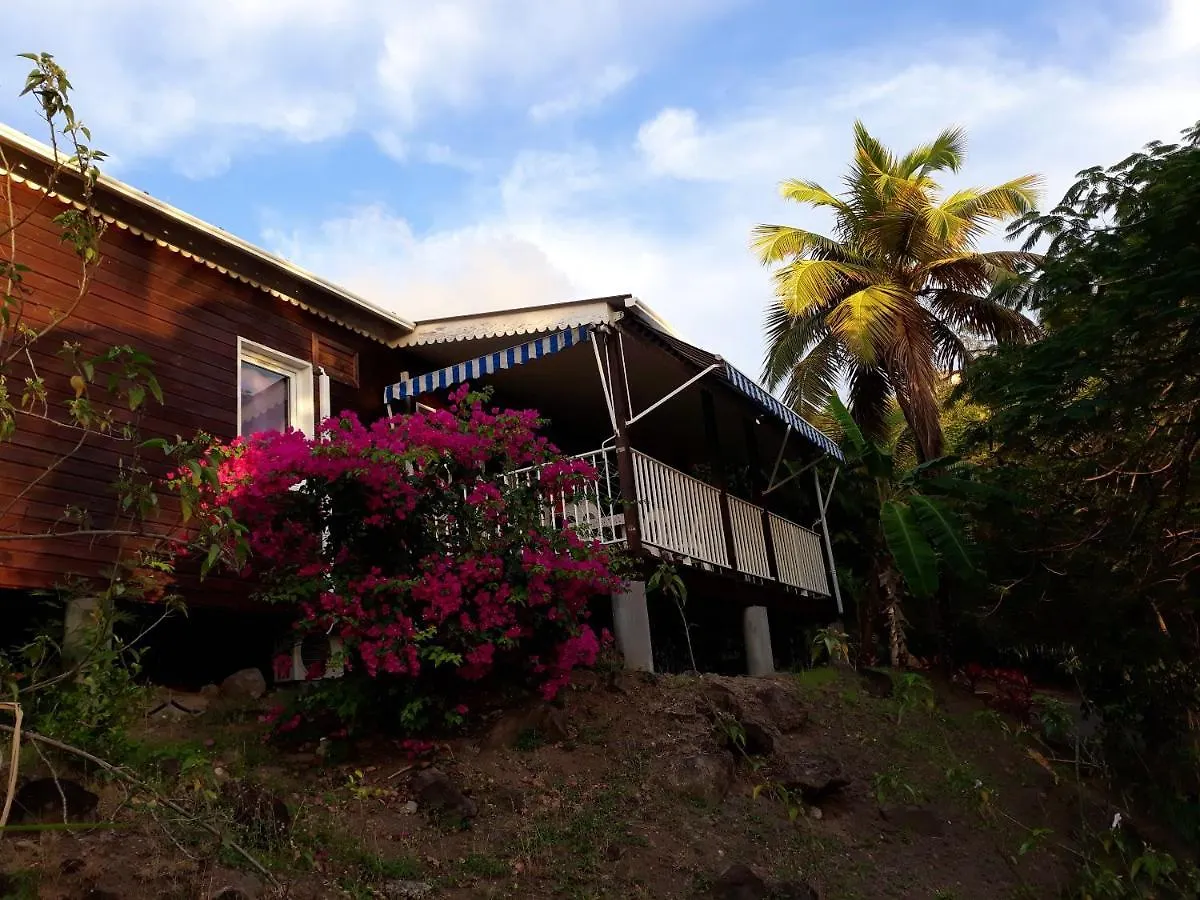 Bungalow With 2 Bedrooms In Bouillante With Furnished Garden And Wifi 100 M From The Beach